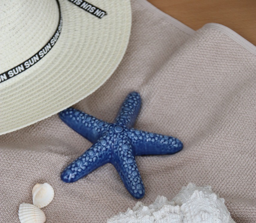 Kesä. Hellehattu, simpukoita ja sininen meritähti.